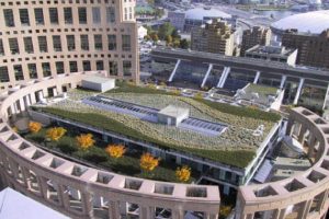 A green roof at Vancouver