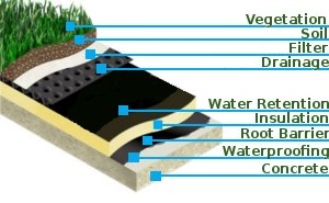 Green Roof Layers